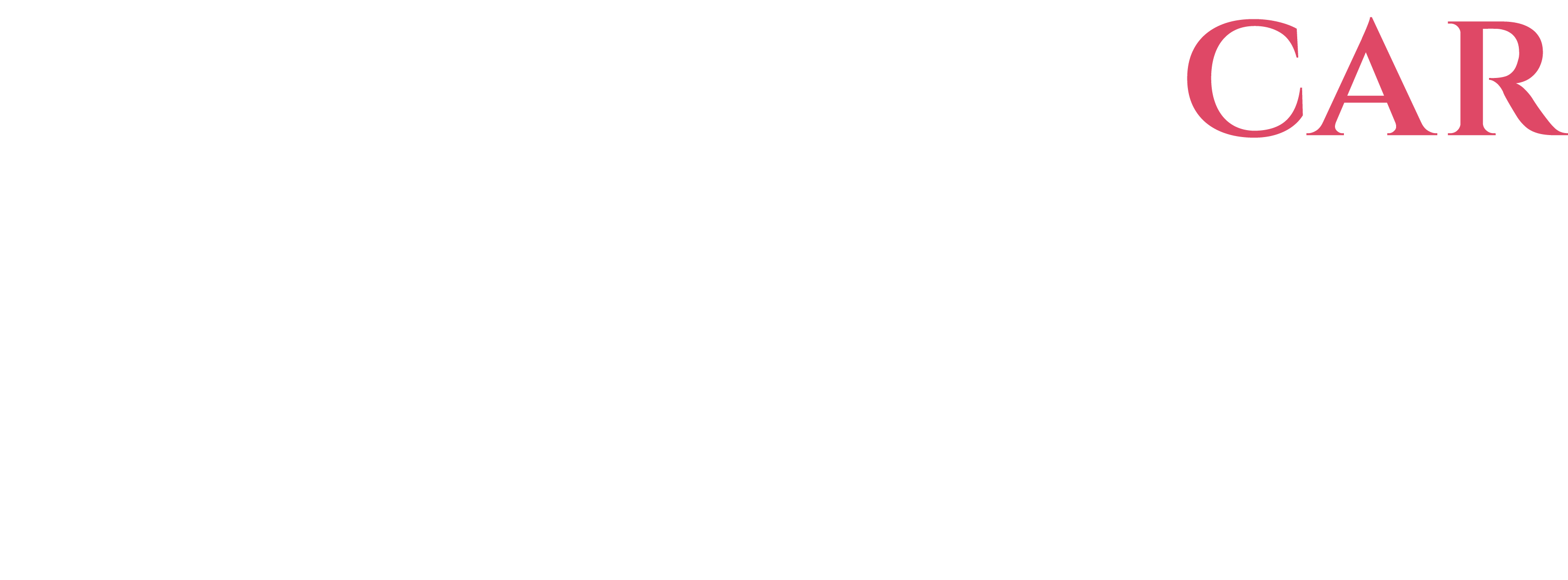 質の高い技術を CAR BEAUTY PRO 結's